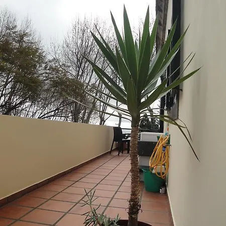 Apartmán Alameda With Sea View *