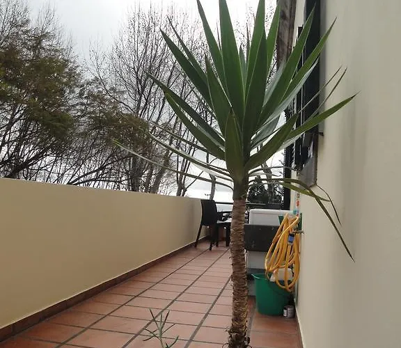 Apartmán Alameda With Sea View *